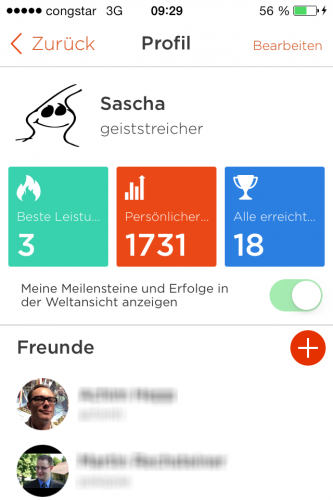 Misfit Shine - Freunde 2